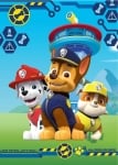 Одеяло Пес Патрул Paw Patrol 100х140 см вар.2