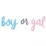 Банер Boy or Girl за разкриване пола на бебето момиче или момче